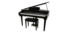 Williams Symphony Grand Digital Piano