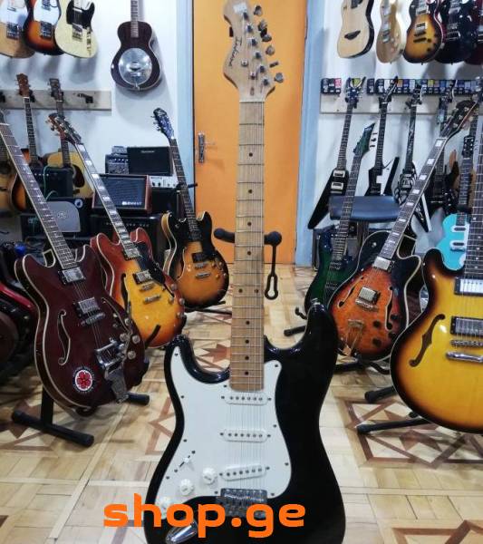 ელექტრო გიტარა electric guitar Indiana