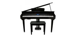 Williams Symphony Grand Digital Piano