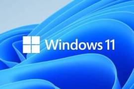 Windows 11, Windows 10 - გამოძახებით 