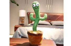 Dancing Cactus - მოცეკვავე, მომღერალი კაქტუსი
