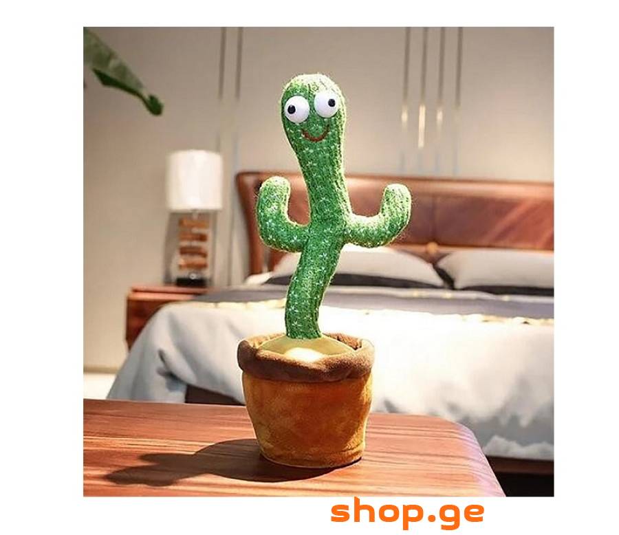 Dancing Cactus - მოცეკვავე, მომღერალი კაქტუსი