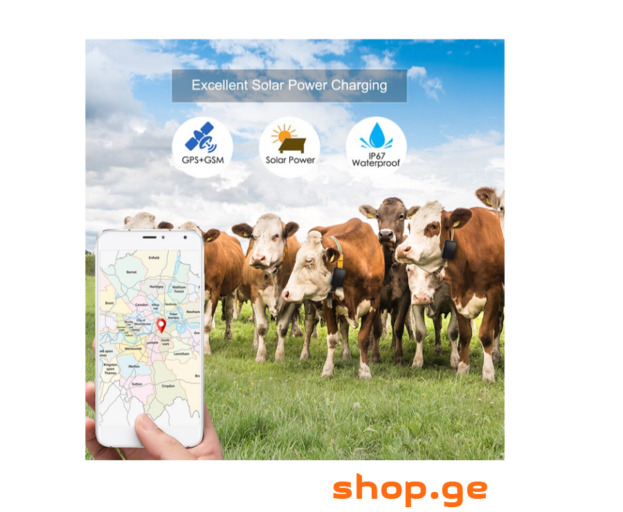 Gps ცხოველისთვის , ჯიპიესი ცხოველისთვის