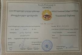 ელექტრიკოსი