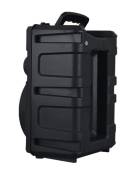 DINAMIKI MIKROPONIT DS-1807