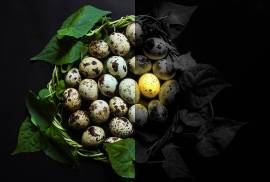 Photoshop / ფოტოშოპის კურსები