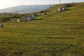 მიწის ნაკვეთი