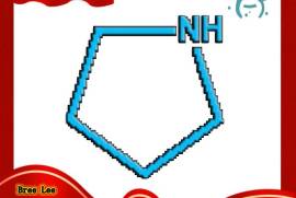 Pyrrolidine Cas 123-75-1 Factory from China ( +861