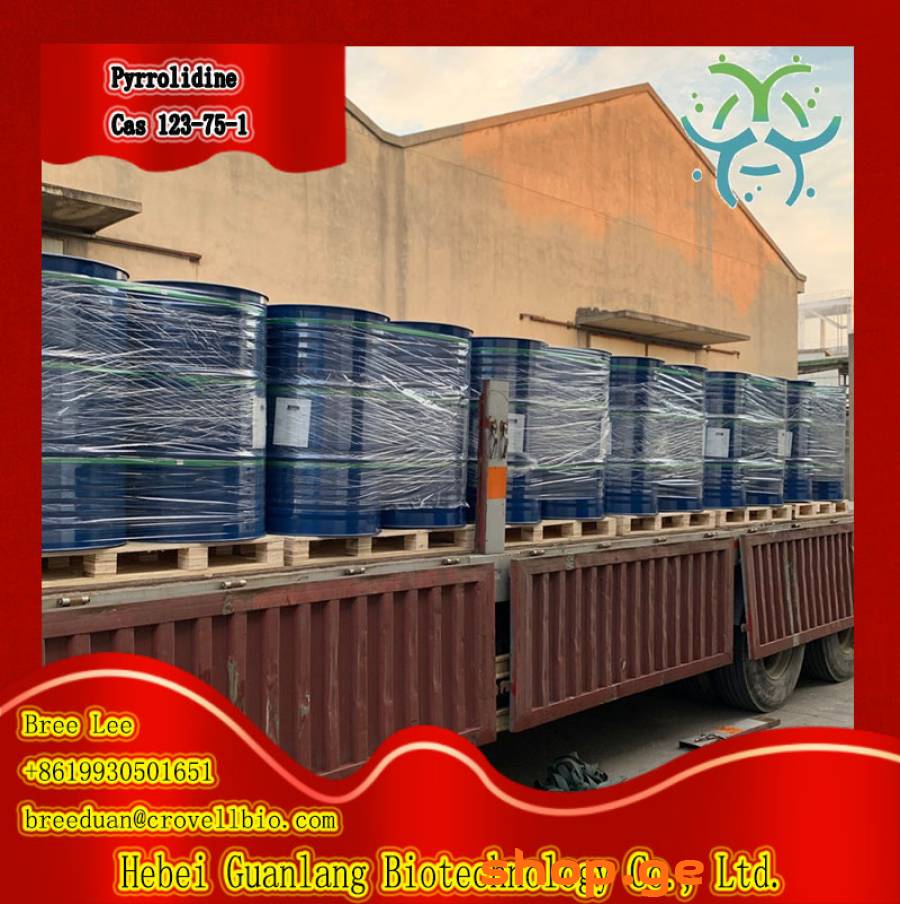 Pyrrolidine Cas 123-75-1 Factory from China ( +861