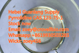 Factory supply Pyrrolidine CAS 123-75-1 By DDP sup