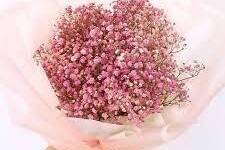 თაიგული