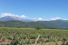 For Sale, Real Estate, Lands