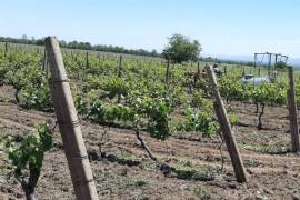 For Sale, Real Estate, Lands