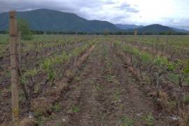 For Sale, Real Estate, Lands