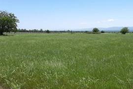 For Sale, Real Estate, Lands