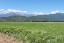 For Sale, Real Estate, Lands