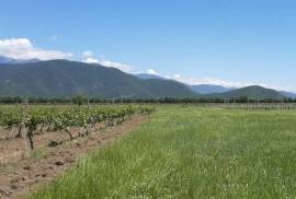 For Sale, Real Estate, Lands