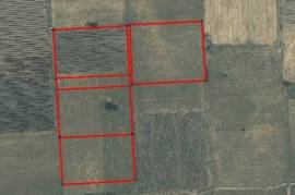 For Sale, Real Estate, Lands