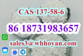 Lidocaine white powder CAS 137-58-6 Professional S