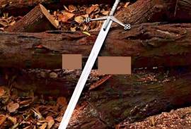 Long Sword