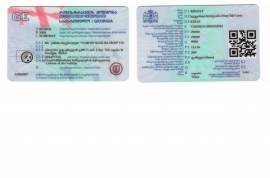 Auto / Moto, Special Equipment, Special Equipment, Renault