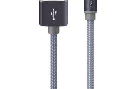 Borofone BX26 Express (USB Type-C)