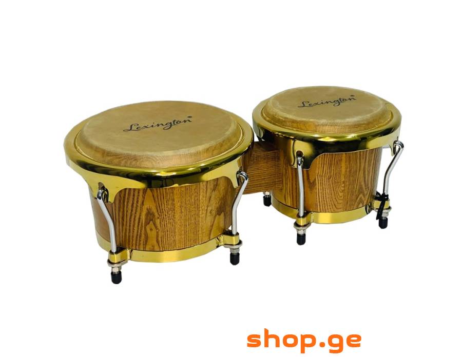 Bongo Lexington BOG101MA