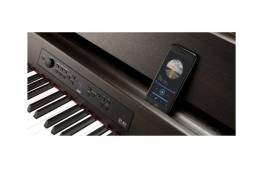 KORG G1B AIR-BR Digital Piano