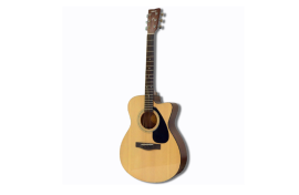 A Yamaha FS100NT