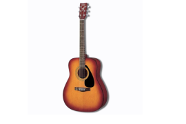 A Yamaha F310TBS