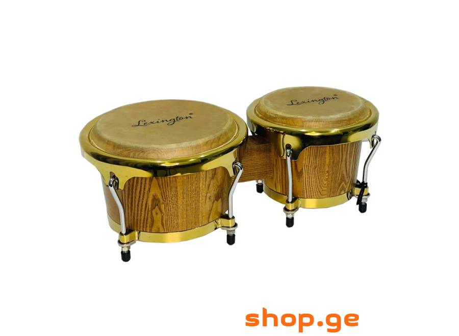 Bongo Lexington BOG101MA