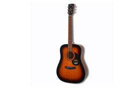 CORT AD810-SSB