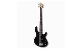CORT ACTION PJ-OPB