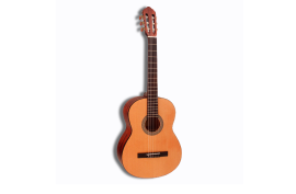 CORT AC100DX W/BAG-OP
