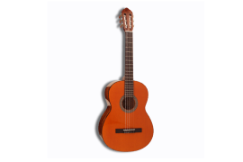 CORT AC100CDX-YT