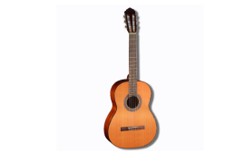 CORT AC100-SG