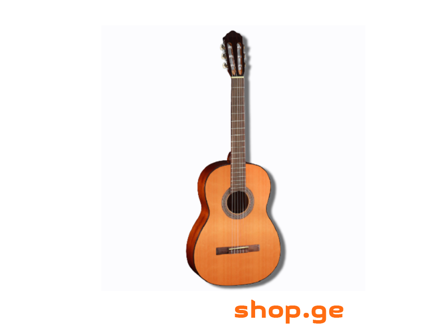 CORT AC100-SG
