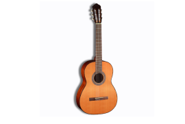 CORT AC100 W/BAG-SG