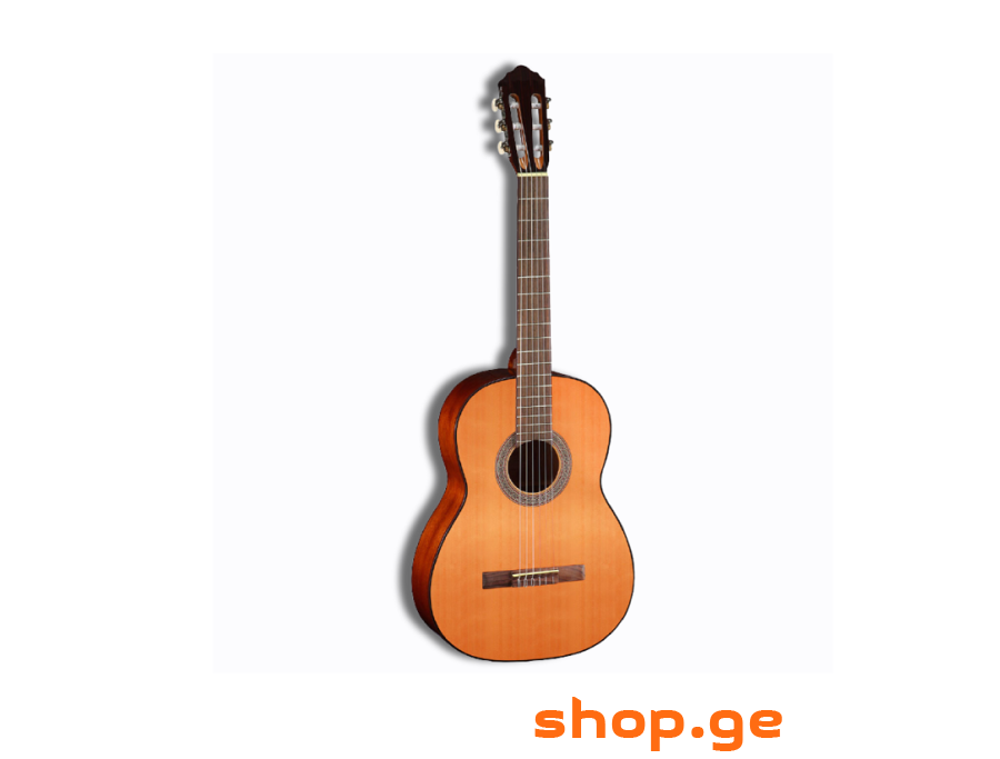 CORT AC100 W/BAG-SG