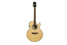Epiphone EEP5NAGH1