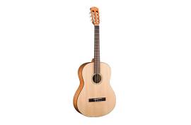 FENDER ESC80 Educational Series