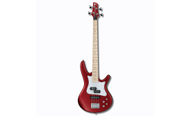 IBANEZ SRMD200-CAM