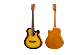 Tayste T401 Acoustic Guitar – აკუსტიკური გიტარა