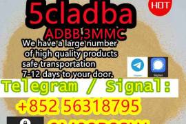 5cladba, ADBB high quality supplier 100% purity, s