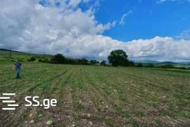 For Sale, Real Estate, Lands