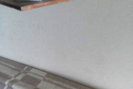 იყიდება რეიშინა 1 მეტრიანი ზომის