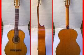აკუსტიკური კლასიკური გიტარა გერმანული guitar