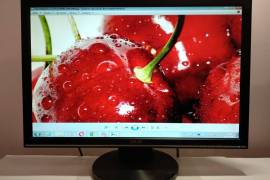 19-inch LCD Monitor ASUS