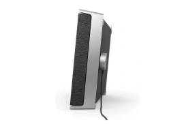 Bang &amp; Olufsen Beosound Level Portable Wi-Fi 