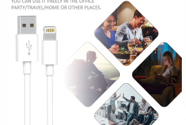 Apple iPhone -ის  დამტენი უახლესი